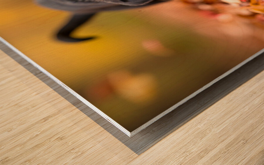 Rottweiler Puppy Discovers Autumn Leaf Pile Wood print