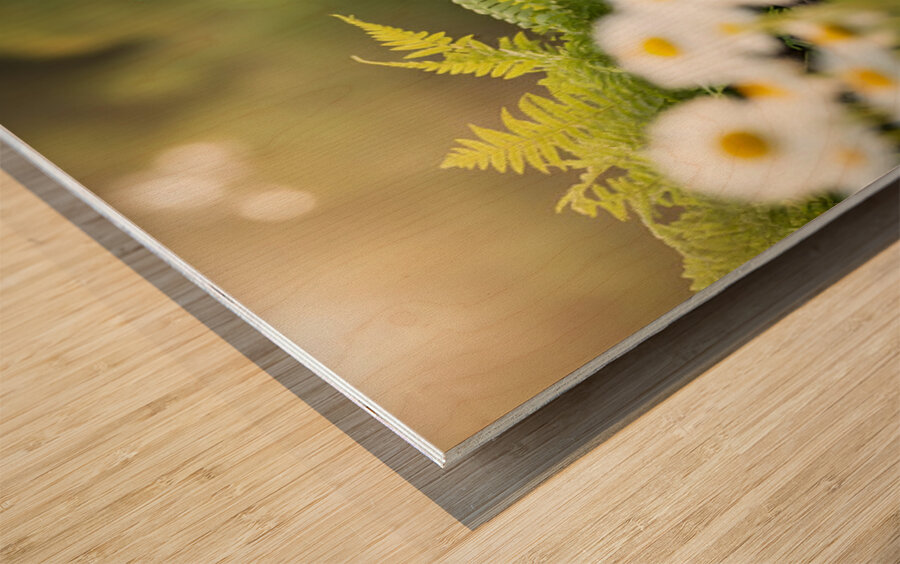 Happy French Bulldog Puppy Rests In Shade Under His Hat Wood print