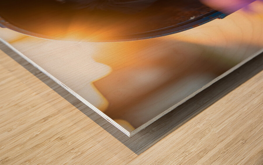 Border Collie Puppy Discovers Perfect Hiding Spot Wood print