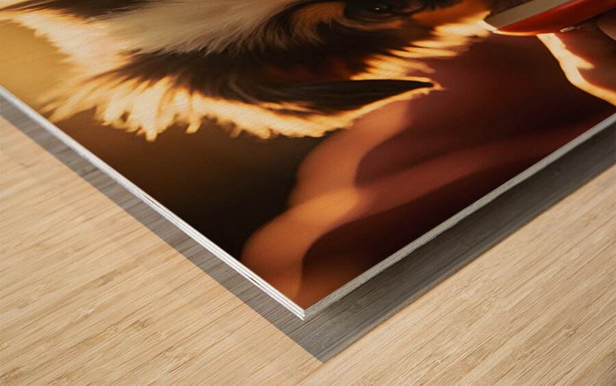 Australian Shepherd Puppys First Brush Encounter Wood print