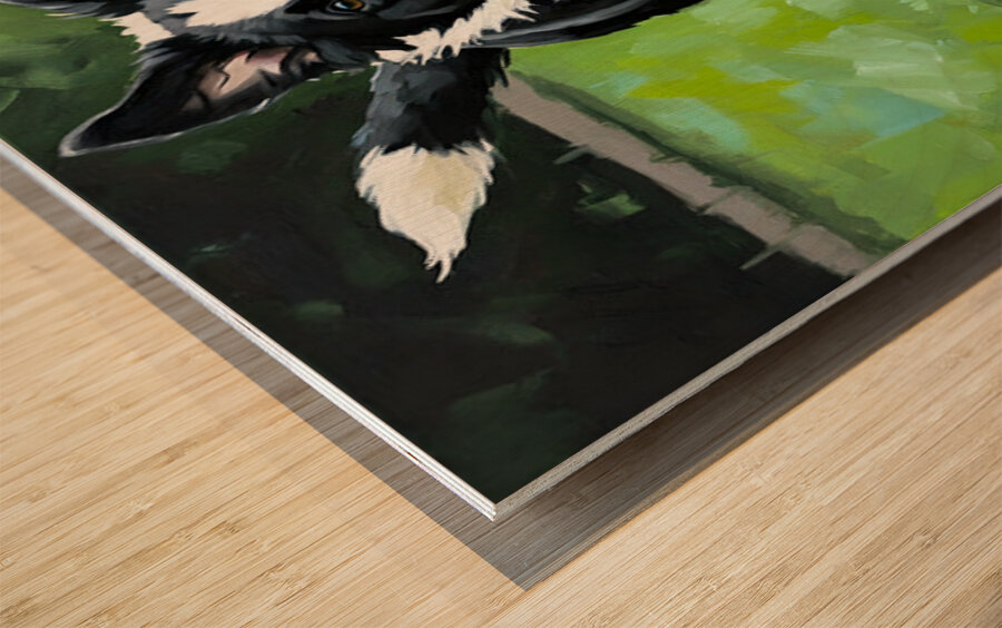 Border Collie Puppy Ready To Chase Wood print