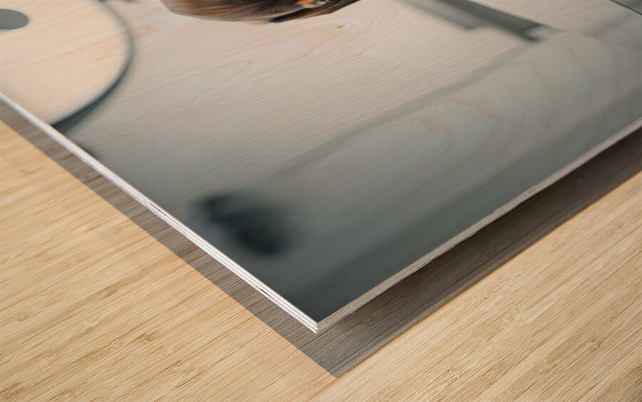 Relieved Dachshund Puppy After The Weighing Visit Wood print