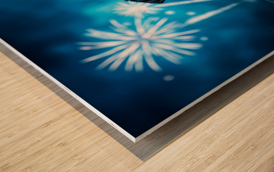 Rottweiler Puppy Completes Fireworks Adventure Wood print