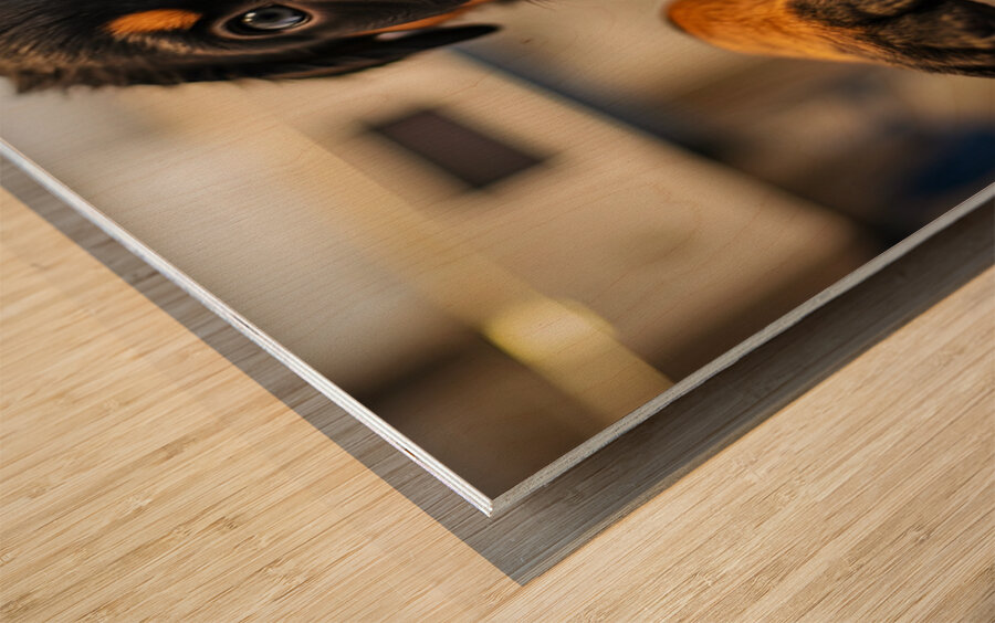 Rottweiler Puppys First Vet Visit Wood print