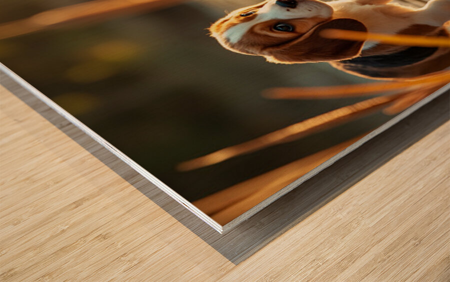 Beagle Puppy Explores By The Pond Wood print