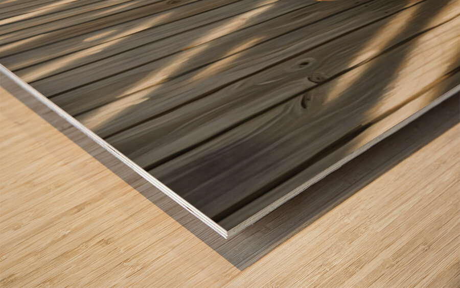 Beagle Puppy Discovers His Superhero Mask Wood print