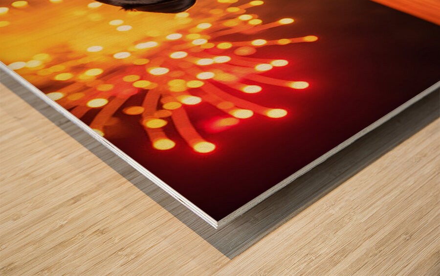 Rottweiler Puppy Watches First Fireworks Display Wood print