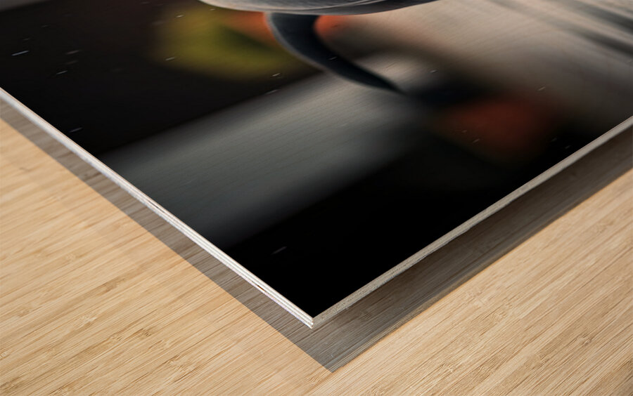 Rottweiler Puppy Discovers Garden Snail On Rainy Day Wood print