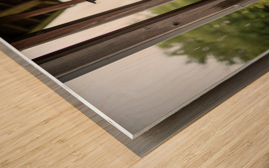 Joyful Rottweiler Puppy Wags Tail Under Porch Wood print