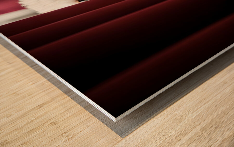 Poodle Puppy Plays Hide And Seek Behind Curtain Wood print