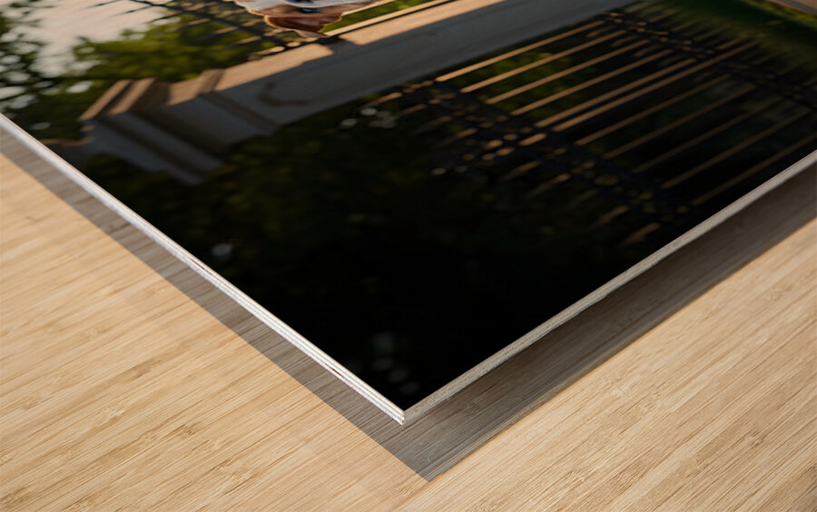 Bulldog Puppy Jumps With Joy At School Gate Wood print