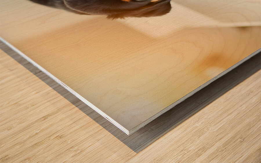 Brave Puppy Completes The Weighing Wood print