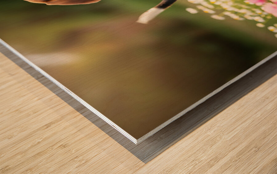 Proud Beagle King Rules His Domain Wood print