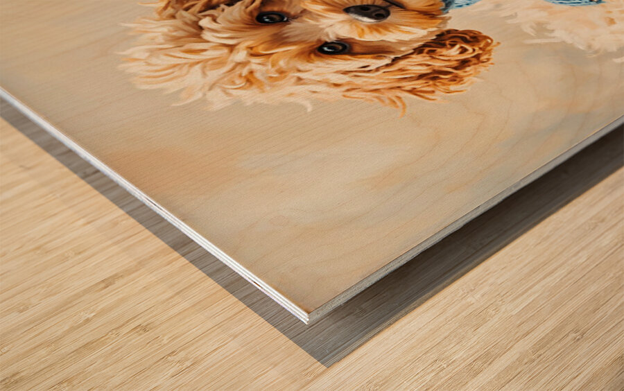 Poodle Puppys Sweater Adventure Begins Wood print