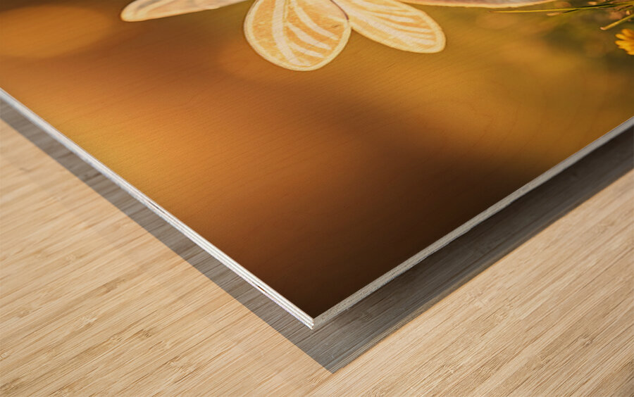 Pug Puppy Discovers Real Magic In Play Wood print