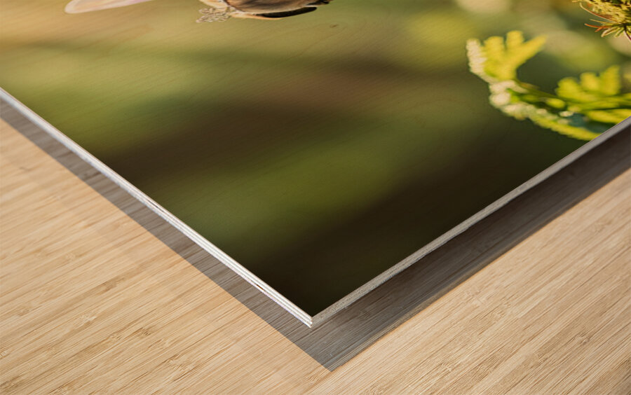 Pug Puppys Magical Garden Adventure Begins Wood print