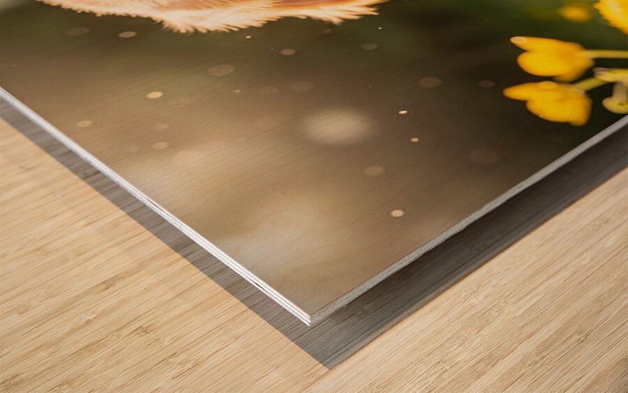 Golden Retriever Puppy Discovers Herb Pile Wood print