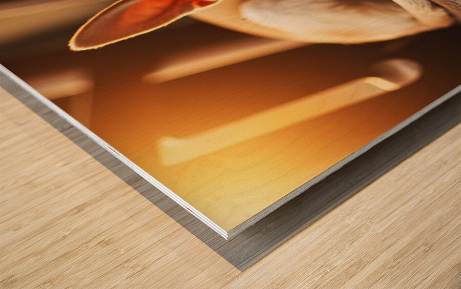 Chihuahua Puppy Dreams Peacefully On Rocking Chair Wood print