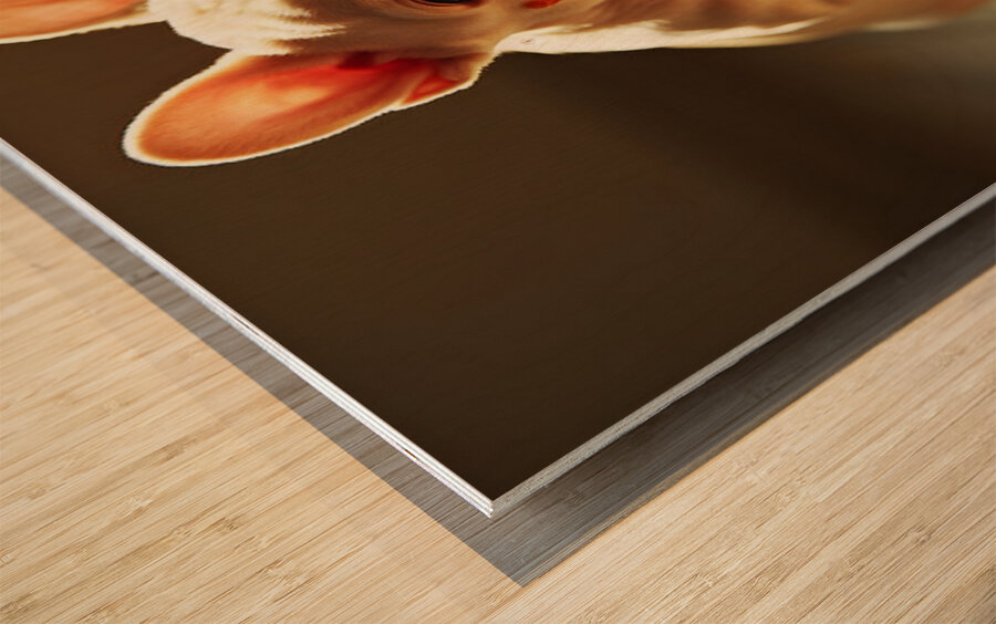 Satisfied Puppy Rests After Big Meal Wood print