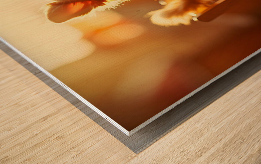 Chihuahua Puppy Discovers The Perfect Rocking Chair Wood print