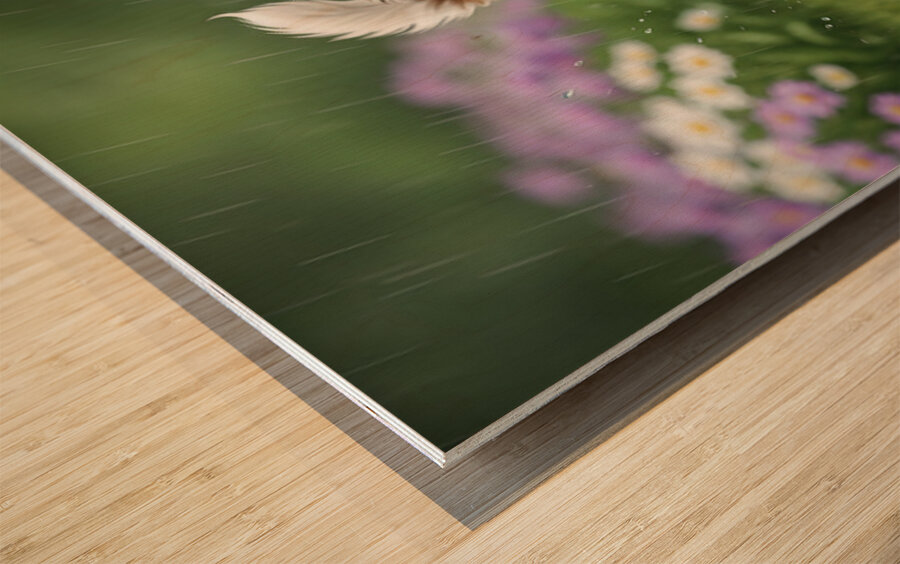 Happy Shih Tzu Puppy Enjoys Raindrop Adventure Wood print