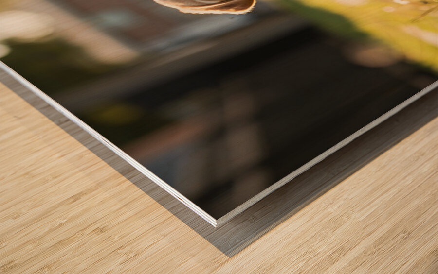 Patient Puppy Rests While Maintaining His Faithful Watch Wood print