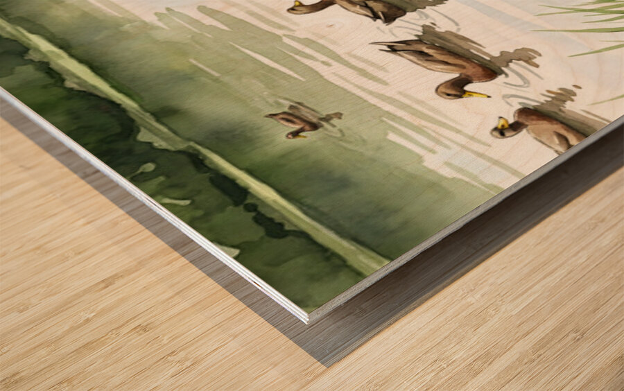 Boston Terrier Puppy Discovers A Peaceful Pond Wood print
