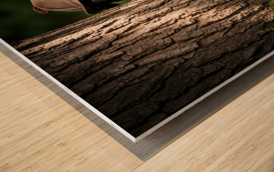 Detective Puppy Solves Case And Finds New Garden Friend Wood print