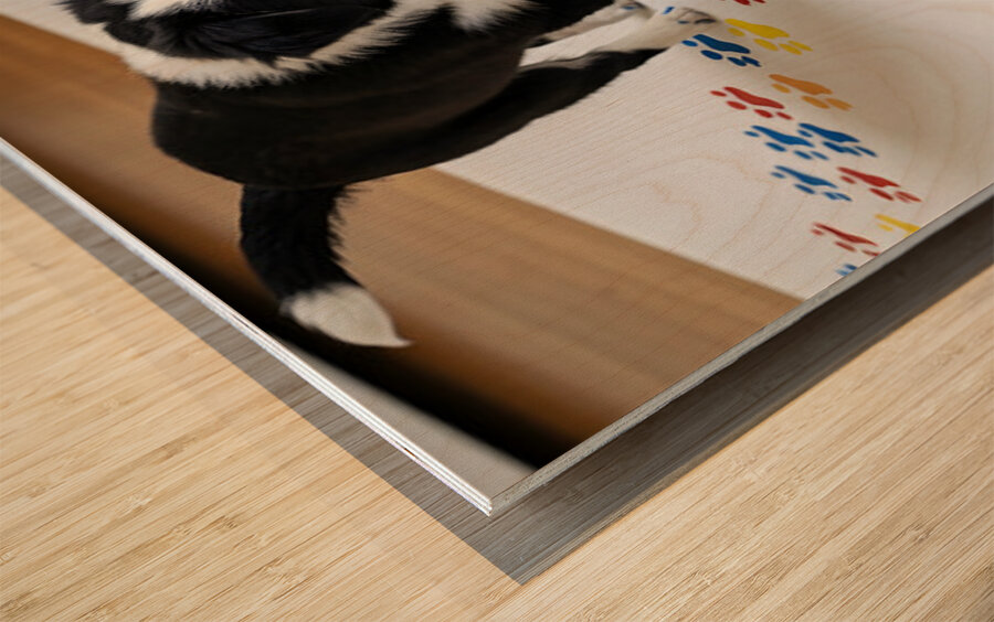 Border Collie Puppy Proudly Shows Off Finished Paw Art Wood print