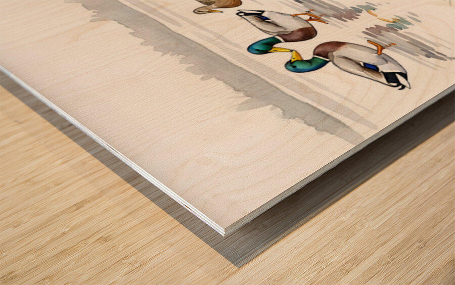 Puppy Watches His New Duck Friends Swimming Peacefully Wood print