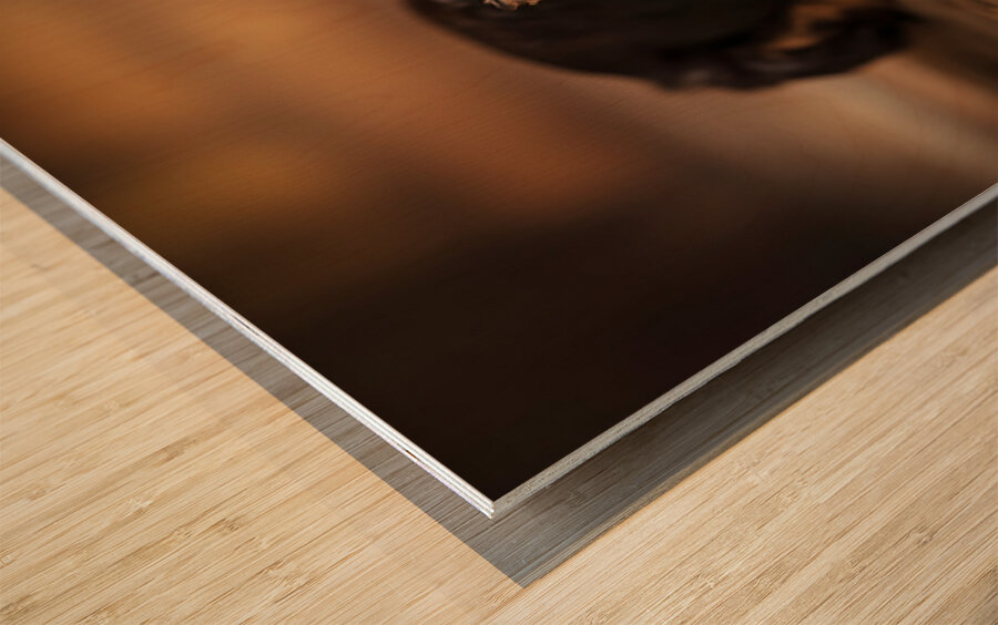 Happy Yorkshire Terrier Puppy With Nature Treasures Wood print