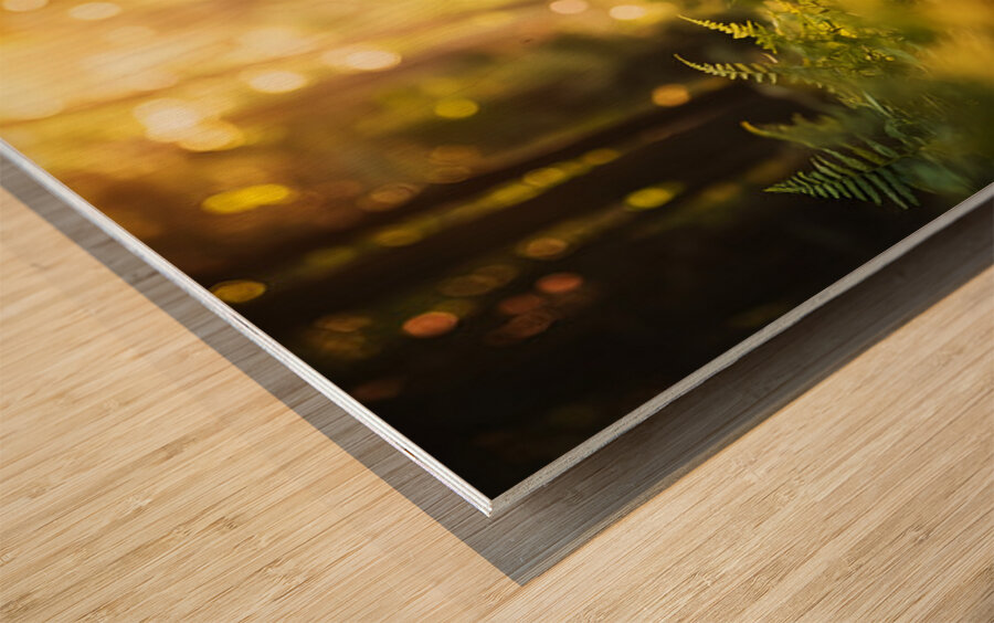 Australian Shepherd Puppy Begins Flower Delivery Mission Wood print