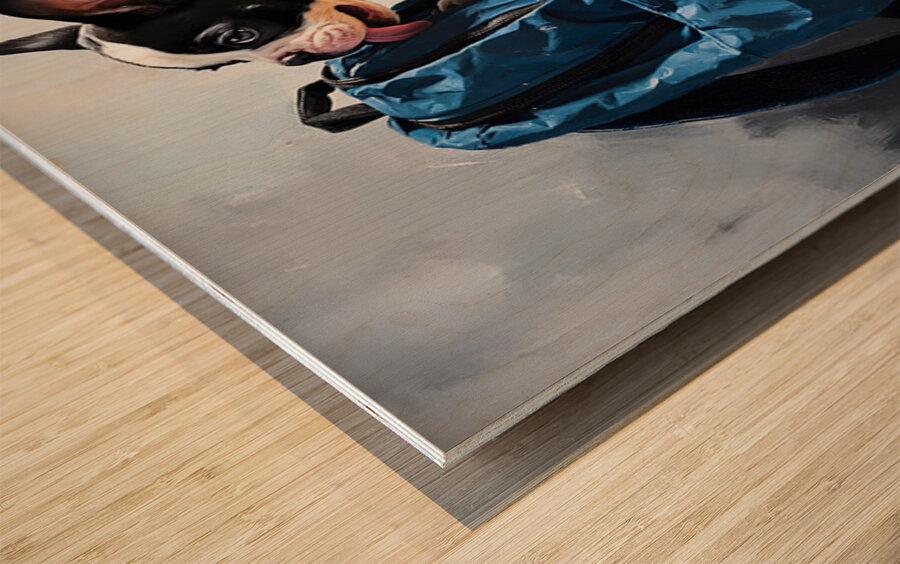 Boston Terrier Puppy Eyes The Backpack Challenge Wood print