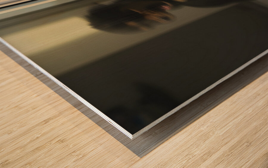 Rottweiler Puppy Discovers Glass Door Reflection Wood print