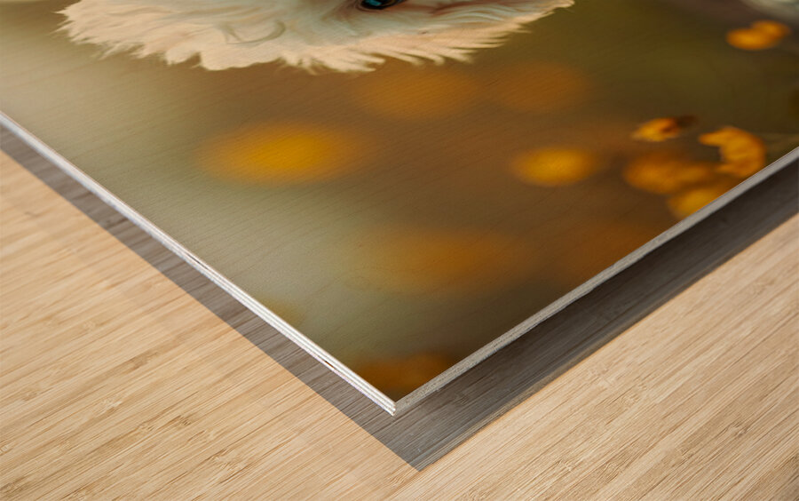 Happy Poodle Puppy Realizes The Truth About Reflections Wood print