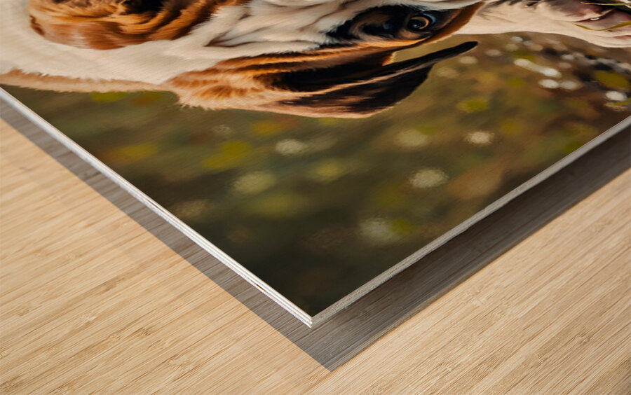 Protective Bulldog Puppy Shields Snail From Heavy Rain Wood print