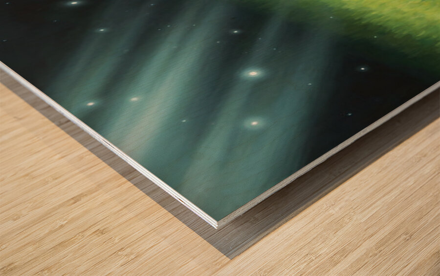 German Shorthaired Pointer Puppy Discovers Night Shadows Wood print