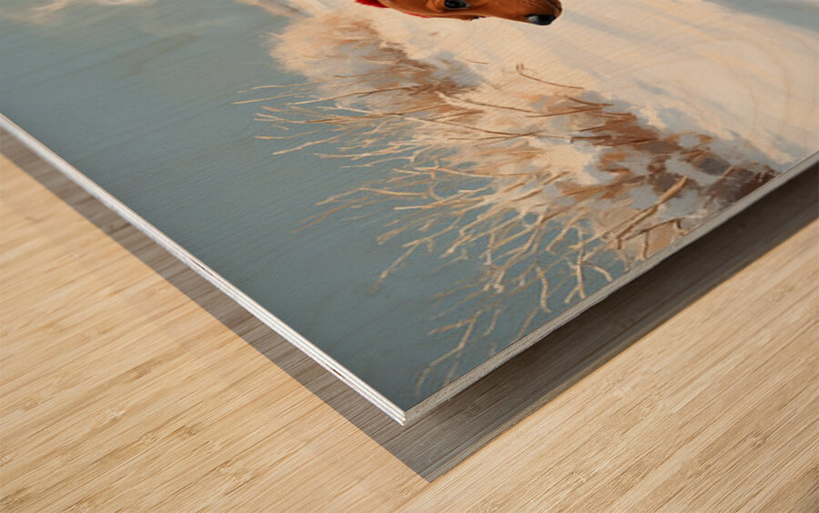 Dachshund Puppy Heads Home After Snowy Day Adventure Wood print