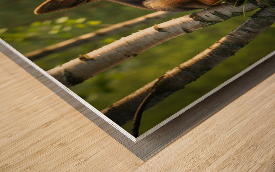 Curious Puppy King Spots Something Interesting Wood print