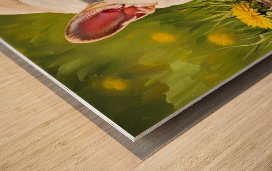 French Bulldog Puppy Discovers Reflection In Puddle Wood print