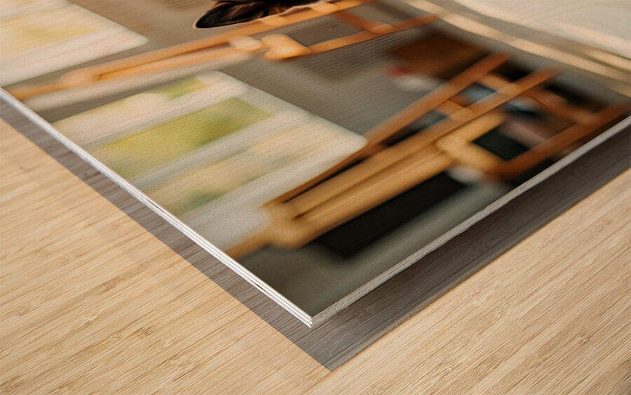 German Shepherd Puppy Discovers Colorful Paint Containers Wood print