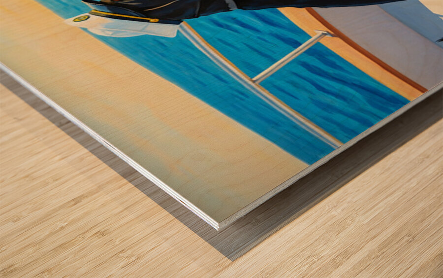 Rottweiler Puppy Ready For Maritime Adventure Wood print