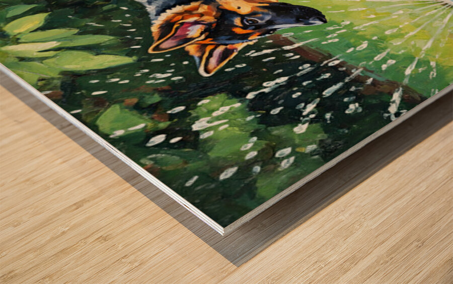 German Shepherd Puppy Discovers Backyard Sprinkler Wood print