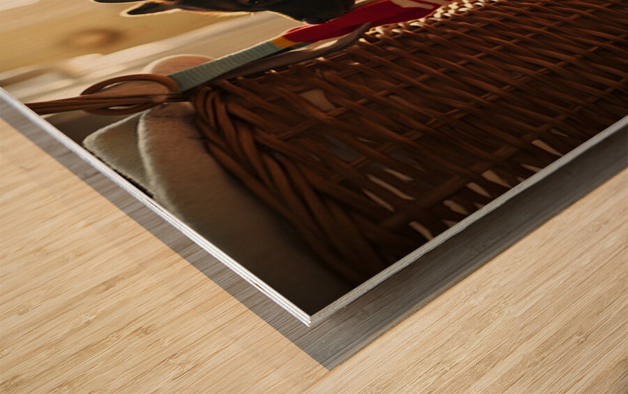 German Shepherd Puppy Discovers Laundry Basket Wood print