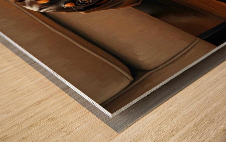 Dachshund Puppy Caught On The Forbidden Sofa Wood print