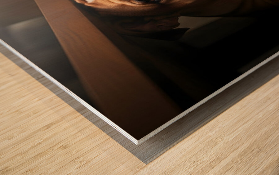 Brave Bulldog Puppy Feels Better Under Table Wood print