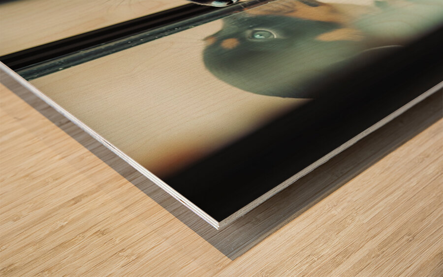 Thoughtful Puppy Contemplates Mysterious Reflection Wood print