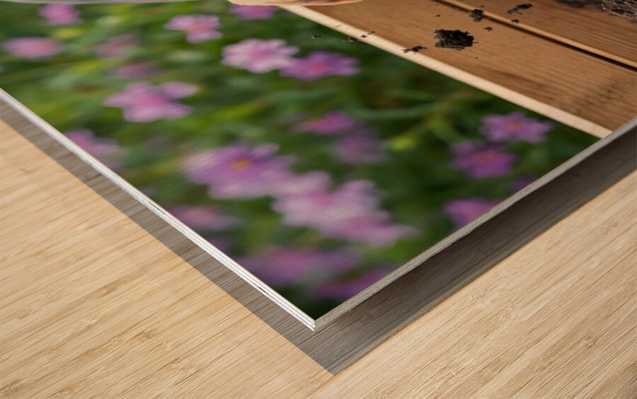 Beagle Puppy Enjoys Digging Success Wood print