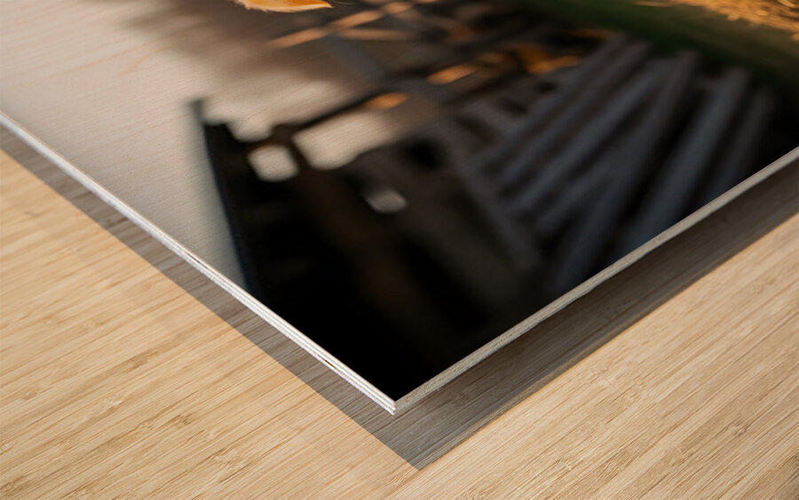 Sleepy Golden Retriever Puppy Rests In Cozy Haystack Wood print