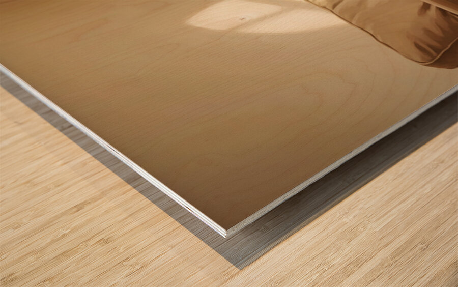 Sleepy Labrador Puppy Naps During Television Show Wood print